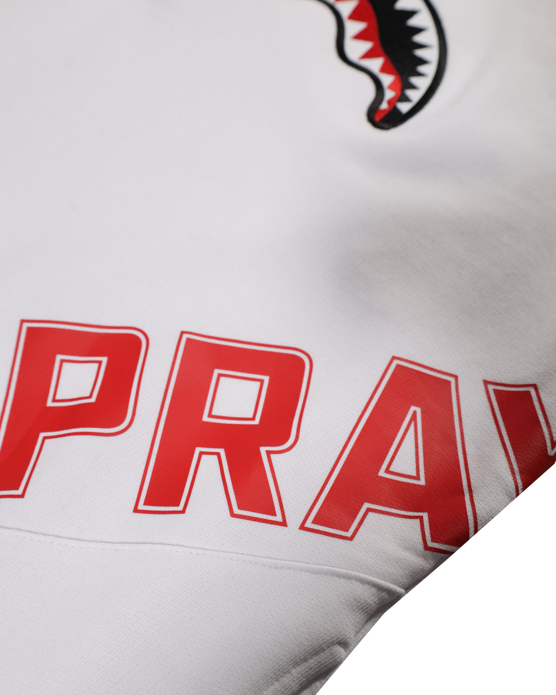 SPRAYGROUND DAILY REGULAR HOODIE