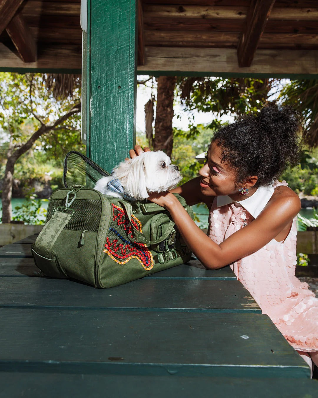 CLIMBING CORD SHARK PET CARRIER