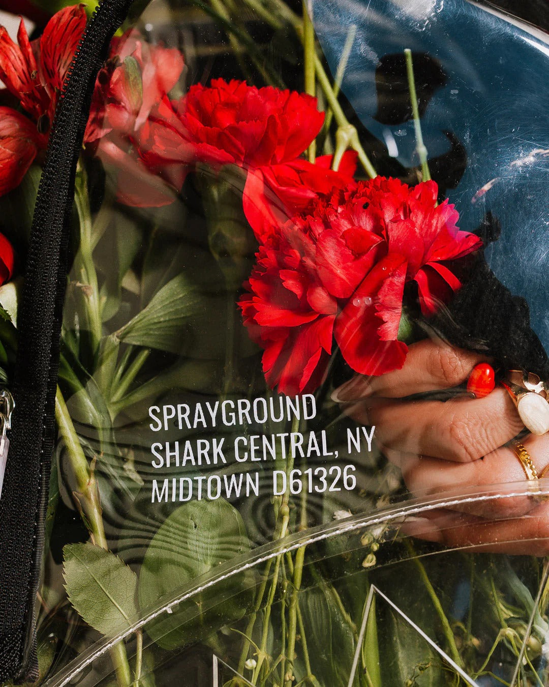 SHARK CENTRAL CLEAR DLX BACKPACK