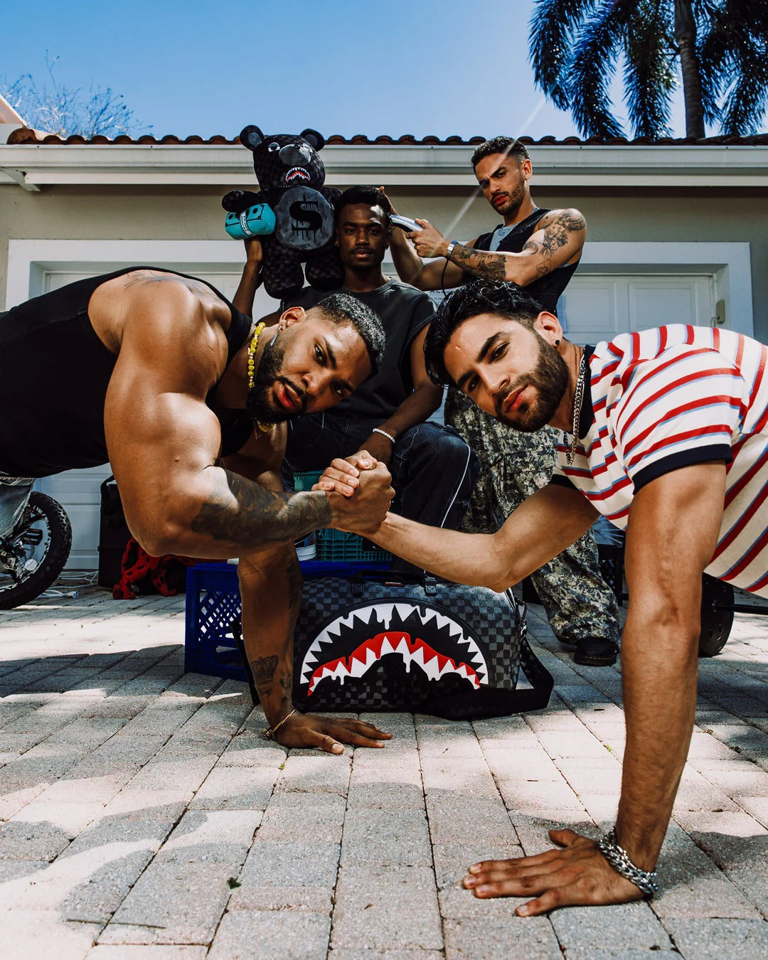 DRIPPING SHARKS IN PARIS MONEYBEAR TEDDY BEAR