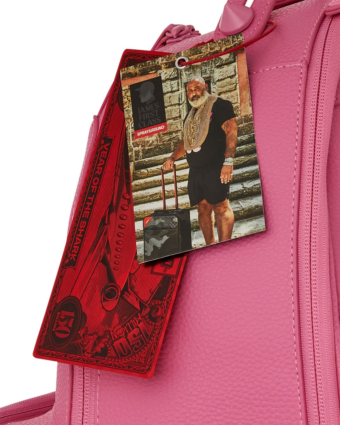 JAMES GLOBAL PINK CHATEAU BACKPACK